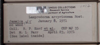 Image Associated With the Occurence